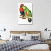 Toile New Guinea Eclectus, parrots, (Insitu(Chambre))