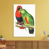Toile New Guinea Eclectus, parrots, (Insitu(Salon))