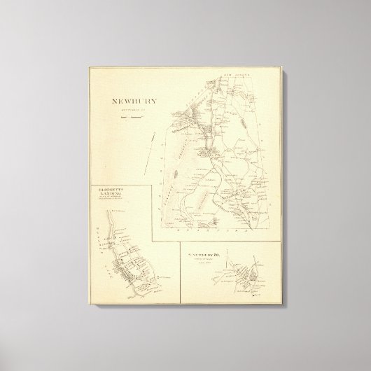 Toile Newbury (Recto)