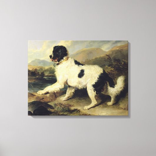 Toile Newfoundland Dog Called Lion, 1824 (oil on canvas) (Recto)