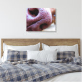 Toile Nez de chien chiot (Insitu(Chambre))