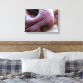Toile Nez de chien chiot (Insitu(Chambre))