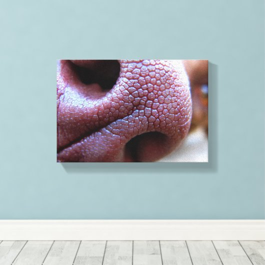 Toile Nez de chien chiot (Insitu (Plancher de Bois))