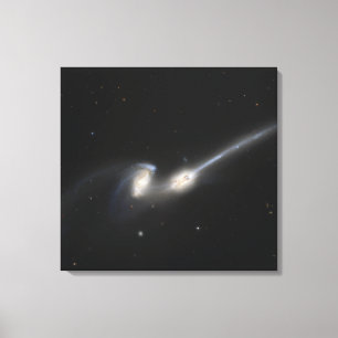 Toile NGC 4676, également connu sous le nom de galaxies