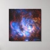 TOILE NGC 604 (Recto)