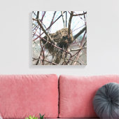 Toile Nid D'Oiseaux Abandonné Au Printemps (Insitu(Salon))