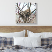 Toile Nid D'Oiseaux Abandonné Au Printemps (Insitu(Chambre))