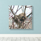 Toile Nid D'Oiseaux Abandonné Au Printemps (Insitu (Plancher de Bois))