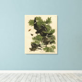 Toile Night Hawk - John James Audubon's Birds of America (Insitu (Plancher de Bois))