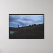Night Visitor Stretched Canvas Print