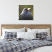 Toile Noir (Insitu(Chambre))