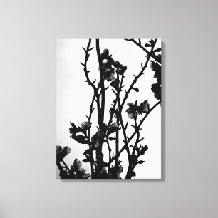 Toile Noir Blanc Printemps Amandiers Floral Art Graphism