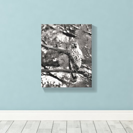 Toile Noir et blanc Nature Buse à épaulettes rouge (Insitu (Plancher de Bois))