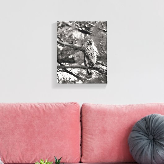 Toile Noir et blanc Nature Buse à épaulettes rouge (Insitu(Salon))