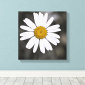 Toile Noir et blanc single Wet Daisy Centre Jaune (Insitu (Plancher de Bois))