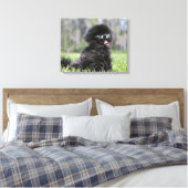 Toile Noir Pomeranian (Insitu(Chambre))