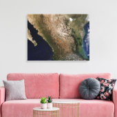 Toile Nord du Mexique 2 (Insitu(Salon))