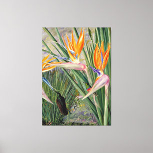 Toile Nord - Strelitzia et Sugar Birds, Afrique du Sud,