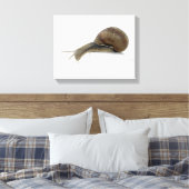 Toile Normalsnail (Insitu(Chambre))