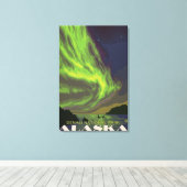 Toile Northern Lights et Orcas - Denali Nat'l Park, (Insitu (Plancher de Bois))