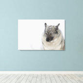 Toile Norvégien Elkhound (Insitu (Plancher de Bois))