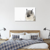 Toile Norvégien Elkhound (Insitu(Chambre))