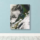 Toile Nouvelle-Zélande 3 (Insitu (Plancher de Bois))