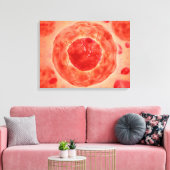 Toile Noyau Cellulaire Avec Chromosome 2 (Insitu(Salon))