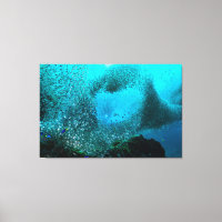Nuage de poissons de récif