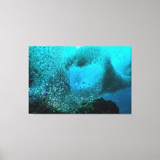 Toile Nuage de poissons de récif (Recto)