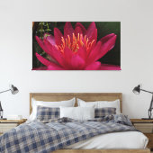 Toile Nuphar Lutea Lily d'eau rose (Insitu(Chambre))