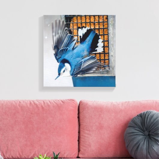 Toile Nuthatch à poitrine blanche en neige - Photo origi (Insitu(Salon))