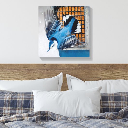 Toile Nuthatch à poitrine blanche en neige - Photo origi (Insitu(Chambre))