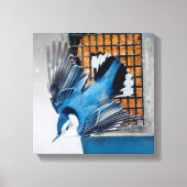 Toile Nuthatch à poitrine blanche en neige - Photo origi (Recto)