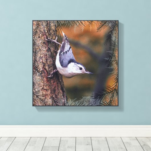 Toile Nuthatch on Tree Fall Sunset Bird Photo (Insitu (Plancher de Bois))