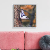 Toile Nuthatch on Tree Fall Sunset Bird Photo (Insitu(Salon))