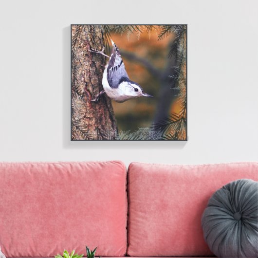 Toile Nuthatch on Tree Fall Sunset Bird Photo (Insitu(Salon))