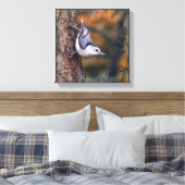 Toile Nuthatch on Tree Fall Sunset Bird Photo (Insitu(Chambre))