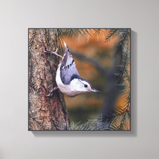 Toile Nuthatch on Tree Fall Sunset Bird Photo (Recto)