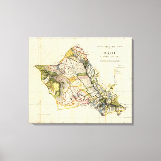 Toile Oahu, Hawaii (Recto)
