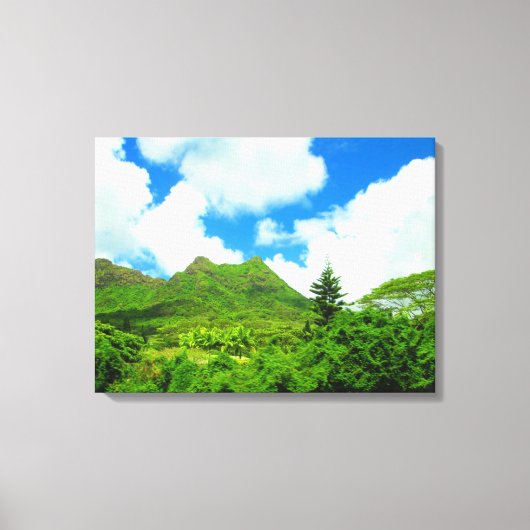 TOILE OAHU HAWAII #10 (Recto)