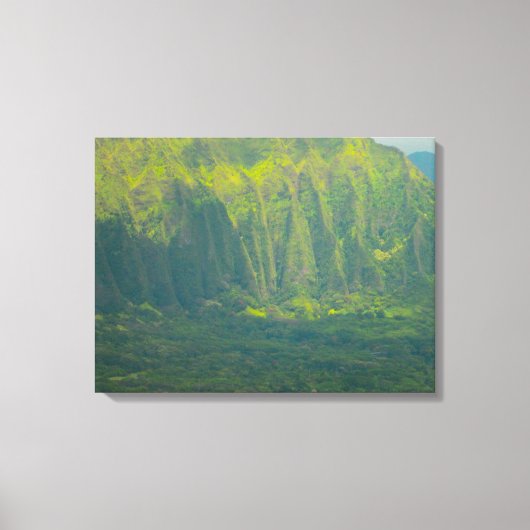 TOILE OAHU HAWAII #16 CANVAS (Recto)