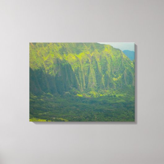 TOILE OAHU HAWAII #16 CANVAS (Recto)