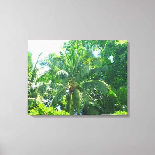 TOILE OAHU HAWAII #17 CANVAS (Recto)
