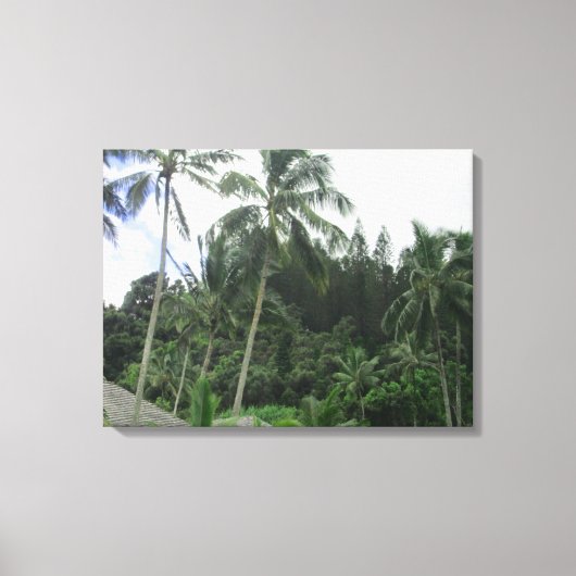 TOILE OAHU HAWAII #19 CANVAS (Recto)