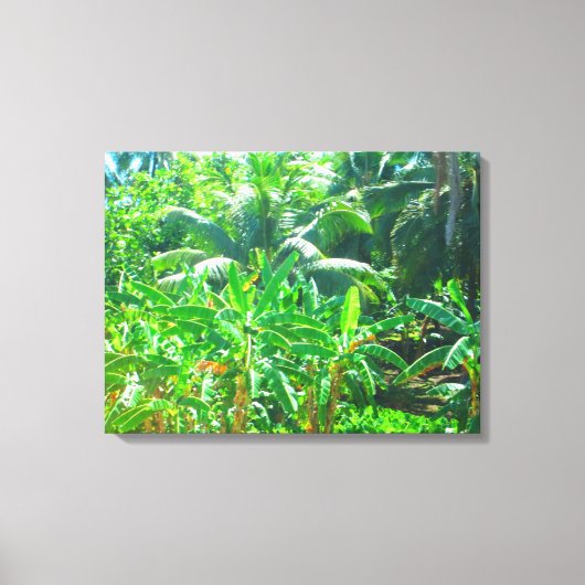 TOILE OAHU HAWAII #21 CANVAS (Recto)
