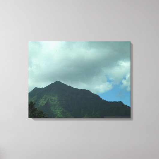 TOILE OAHU HAWAII #24 CANVAS (Recto)