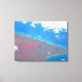 TOILE OAHU HAWAII #26 CANVAS (Recto)