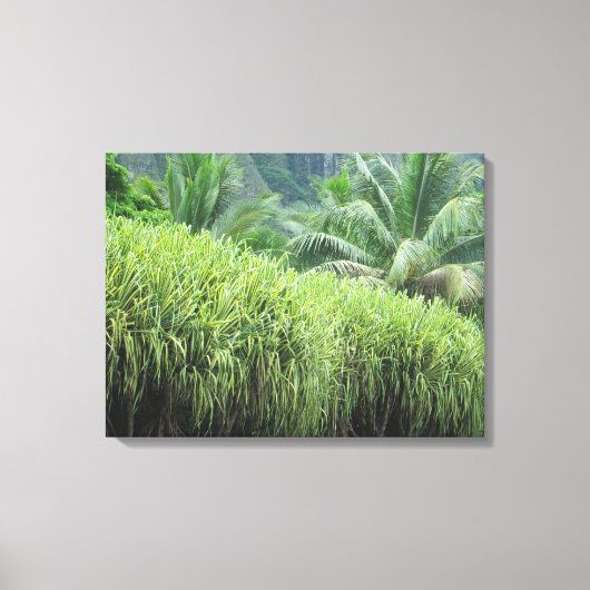 TOILE OAHU HAWAII #2 CANVAS (Recto)