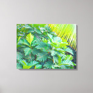 TOILE OAHU HAWAII #5 CANVAS